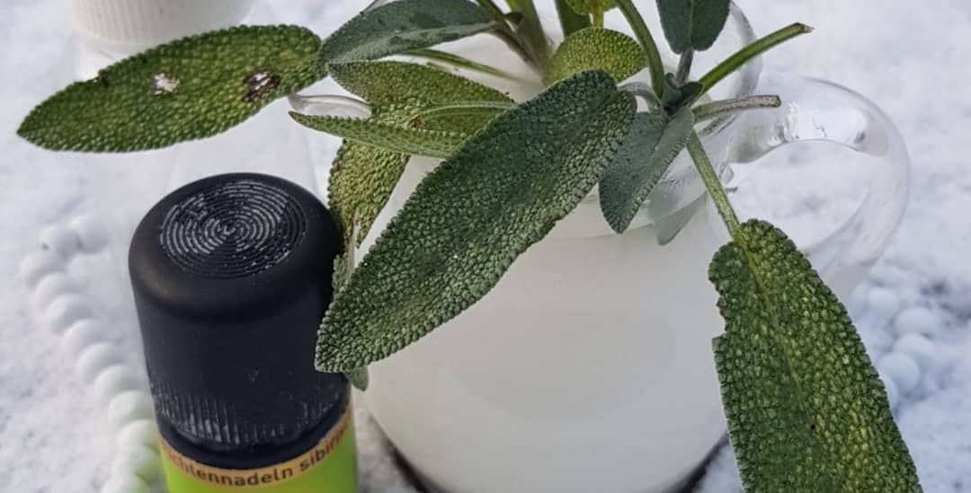 Salvia & barr deodorant
